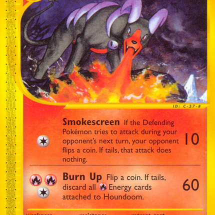 Houndoom (14/147) [Aquapolis]