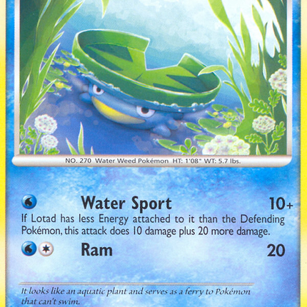 Lotad (92/132) [Diamond & Pearl: Secret Wonders]