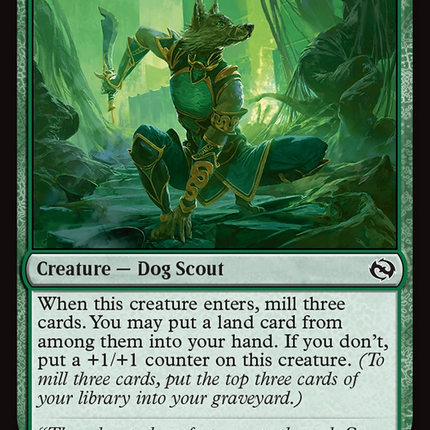 Ainok Wayfarer [Tarkir: Dragonstorm]