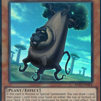 Baobaboon [RATE-ENSE4] Super Rare