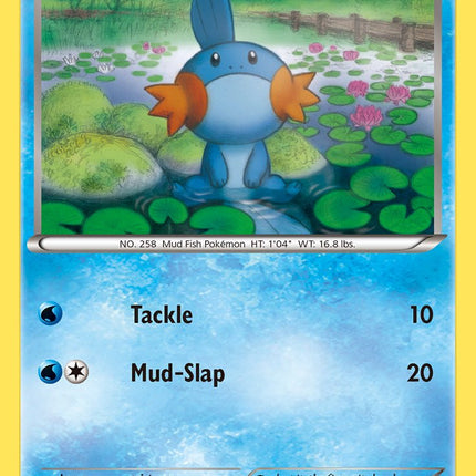 Mudkip (XY38) [XY: Black Star Promos]