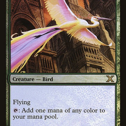 Birds of Paradise (Premium Foil) [Tenth Edition]