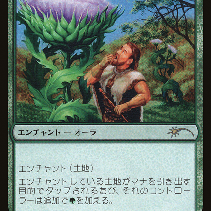Wild Growth (JP Graphic Novel Insert) [Media Promos]