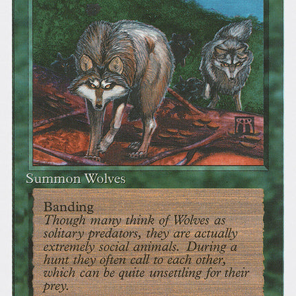 Timber Wolves [Fourth Edition]