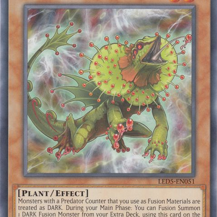Predaplant Chlamydosundew [LED5-EN051] Common