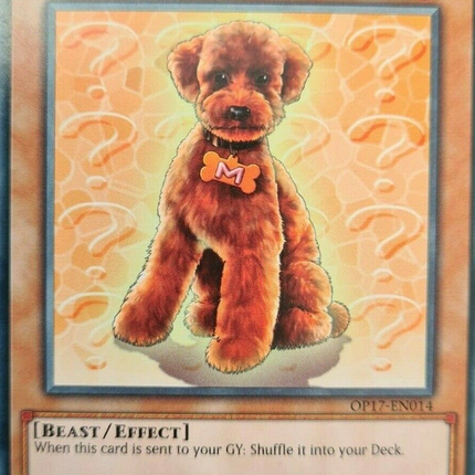 Outstanding Dog Marron [OP17-EN014] Common