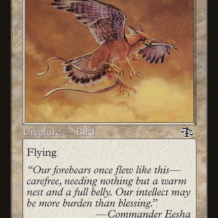 Suntail Hawk [Judgment]
