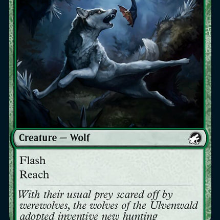 Bounding Wolf [Innistrad: Midnight Hunt]
