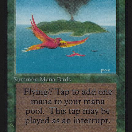 Birds of Paradise [Alpha Edition]