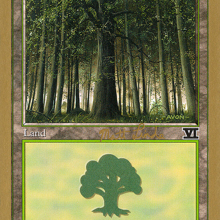 Forest (ml349) (Matt Linde) [World Championship Decks 1999]