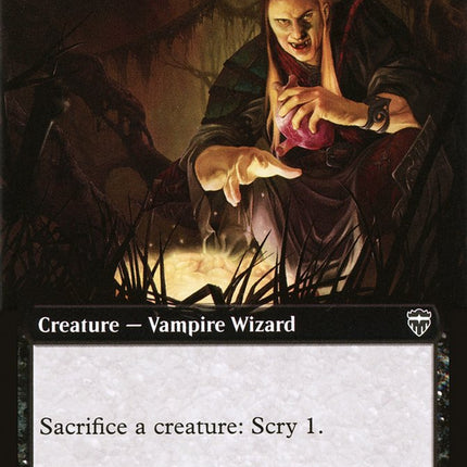 Viscera Seer (Extended Art) [Commander Legends]