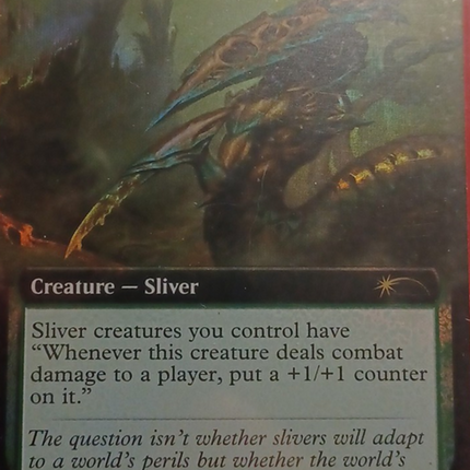 Tempered Sliver (Extended Art) [Secret Lair Drop Promos]