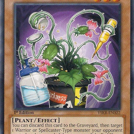 Puppet Plant [YSKR-EN022] Common