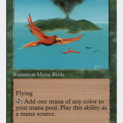 Birds of Paradise [Fifth Edition]