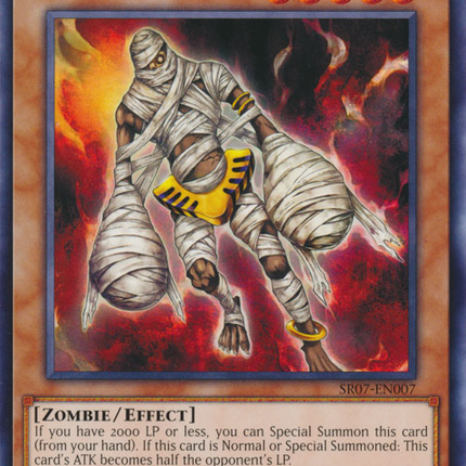 Endless Decay [SR07-EN007] Common