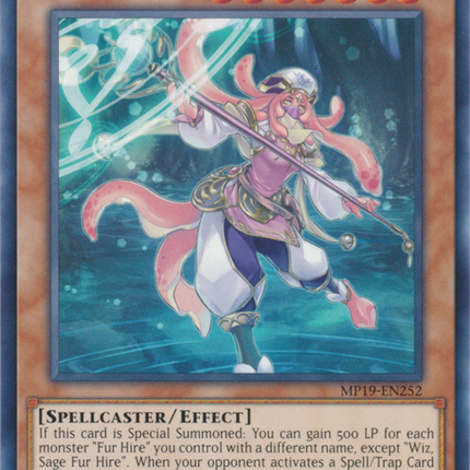 Wiz, Sage Fur Hire [MP19-EN252] Common