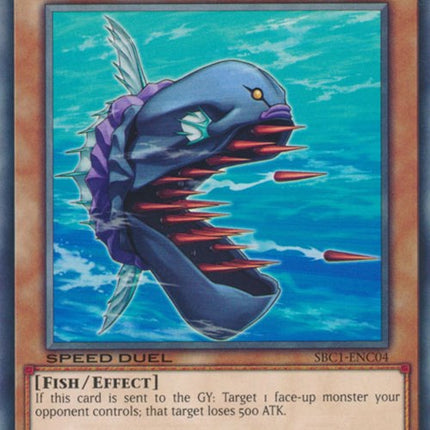 Needle Sunfish [SBC1-ENC04] Common