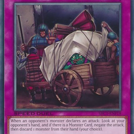 The Forceful Checkpoint [SBC1-ENF19] Common