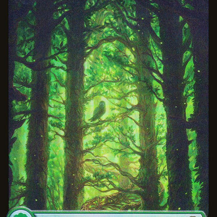Forest [Judge Gift Cards 2023]