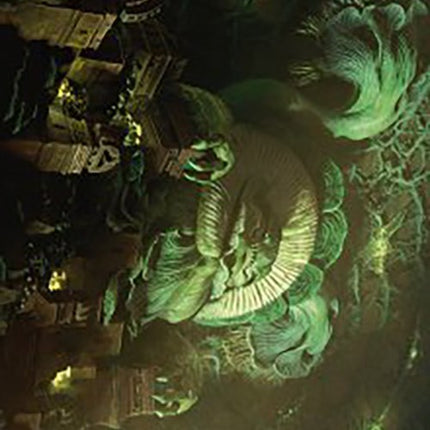 The Mycotyrant Art Card [The Lost Caverns of Ixalan Art Series]