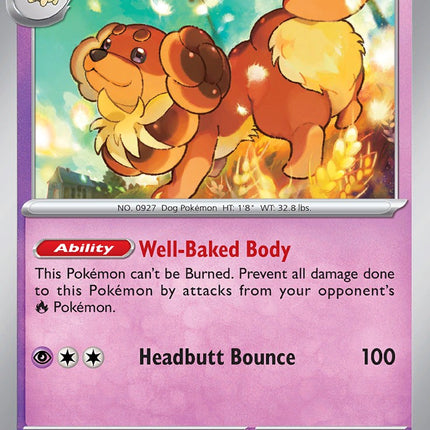 Dachsbun (039/091) [Scarlet & Violet: Paldean Fates]