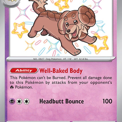 Dachsbun (161/091) [Scarlet & Violet: Paldean Fates]