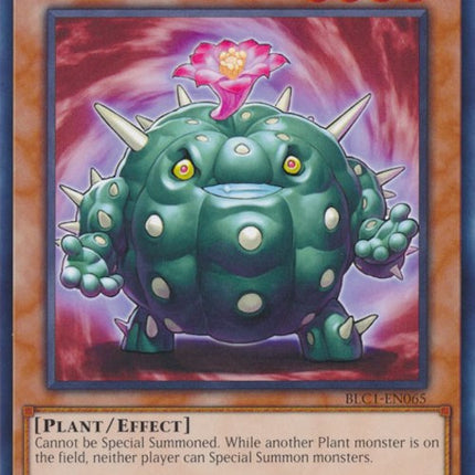 Cactus Bouncer [BLC1-EN065] Common