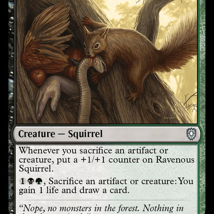 Ravenous Squirrel [Bloomburrow Commander]