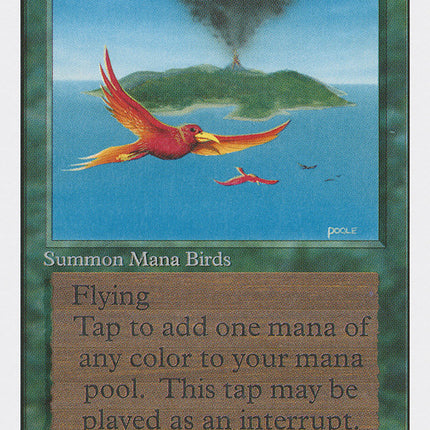 Birds of Paradise [Unlimited Edition]