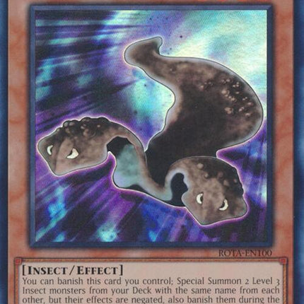 Splitting Planarian [ROTA-EN100] Super Rare