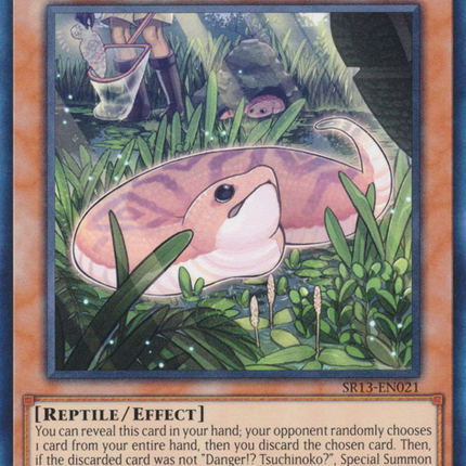 Danger!? Tsuchinoko? [SR13-EN021] Common