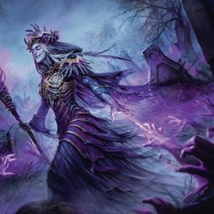 Zul Ashur, Lich Lord Art Card (10/54) [Foundations Art Series]