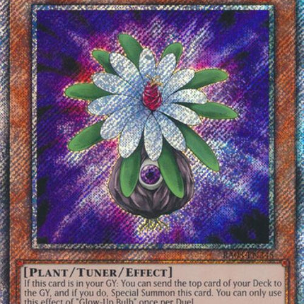 Glow-Up Bulb (Platinum Secret Rare) [RA03-EN245] Platinum Secret Rare