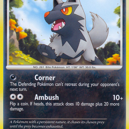 Poochyena (116/146) [Diamond & Pearl: Legends Awakened]
