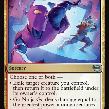 Go Ninja Go [Teenage Mutant Ninja Turtles]