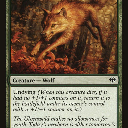Young Wolf [Dark Ascension]