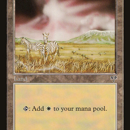 Plains (Zebras / Signature on Left) [Mirage]