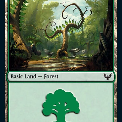Forest (374) [Strixhaven: School of Mages]
