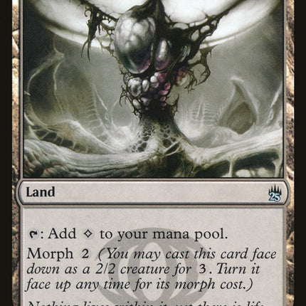 Zoetic Cavern [Masters 25]