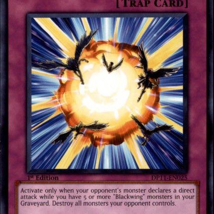 Blackwing - Backlash [DP11-EN025] Common