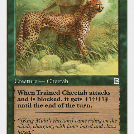 Trained Cheetah [Portal Three Kingdoms]