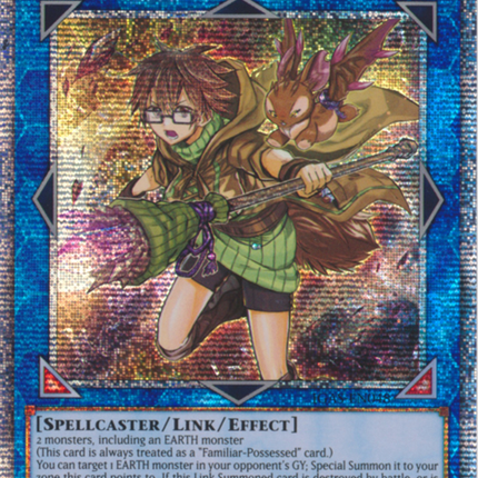 Aussa the Earth Charmer, Immovable [IGAS-EN048] Starlight Rare