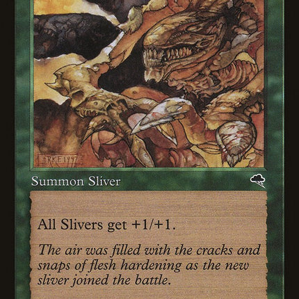 Muscle Sliver [The List]