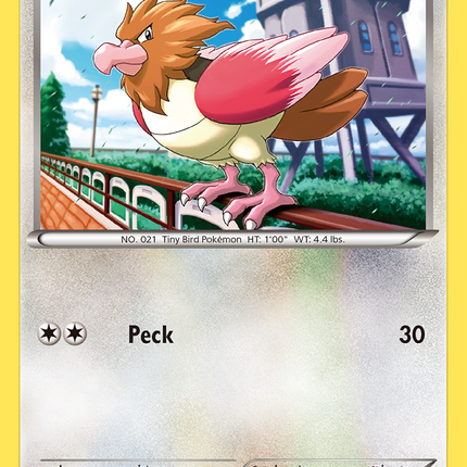 Spearow (65/108) [XY: Roaring Skies]