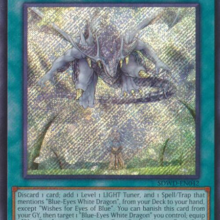 Wishes for Eyes of Blue (Secret Rare) [SDWD-EN042] Secret Rare