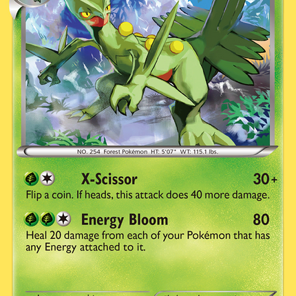 Sceptile (8/116) [Black & White: Plasma Freeze]