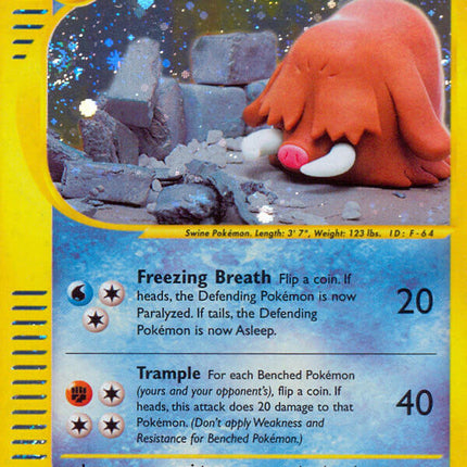 Piloswine (H22/H32) [Skyridge]
