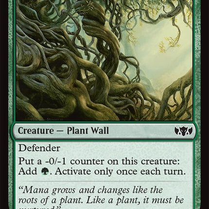 Wall of Roots [Tarkir: Dragonstorm Commander]