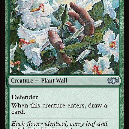 Wall of Blossoms [Tarkir: Dragonstorm Commander]