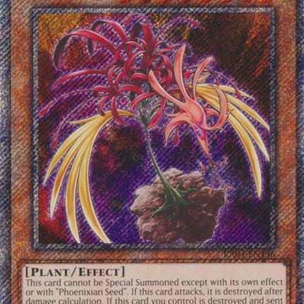 Phoenixian Cluster Amaryllis [RA04-EN136] Platinum Secret Rare